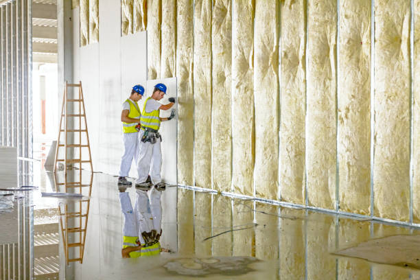 Best Residential Insulation in Lillington, NC